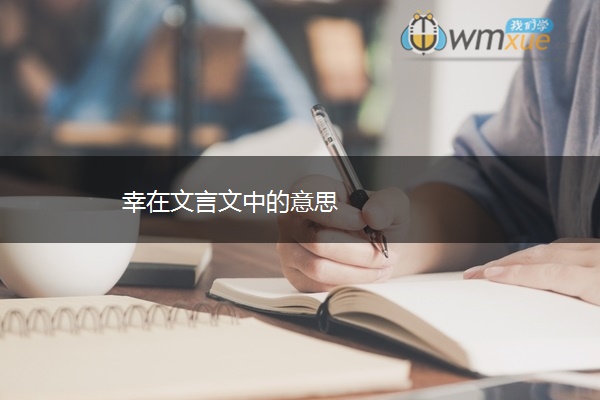 幸在文言文中的意思