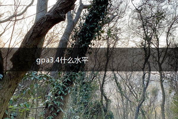 gpa3.4什么水平
