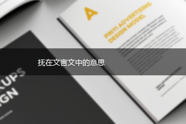 抚在文言文中的意思
