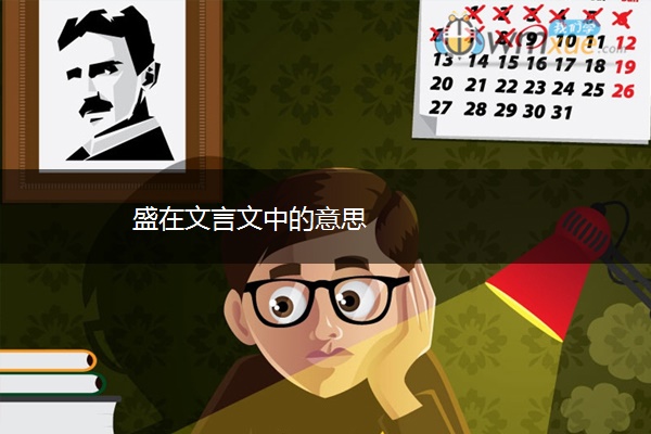 盛在文言文中的意思