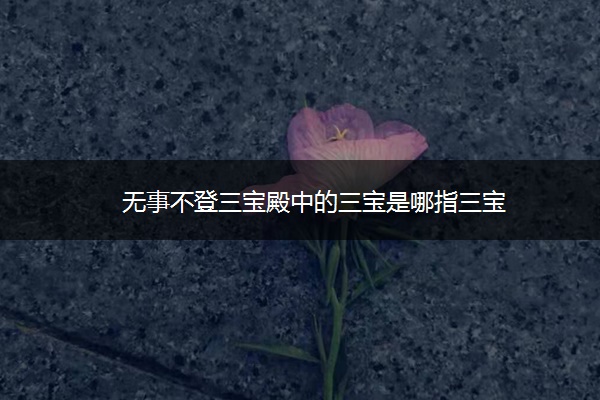 无事不登三宝殿中的三宝是哪指三宝