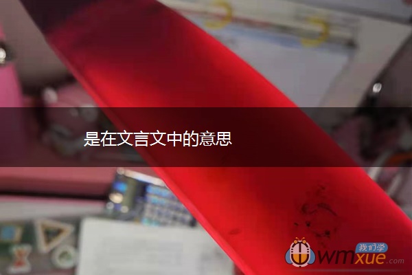 是在文言文中的意思