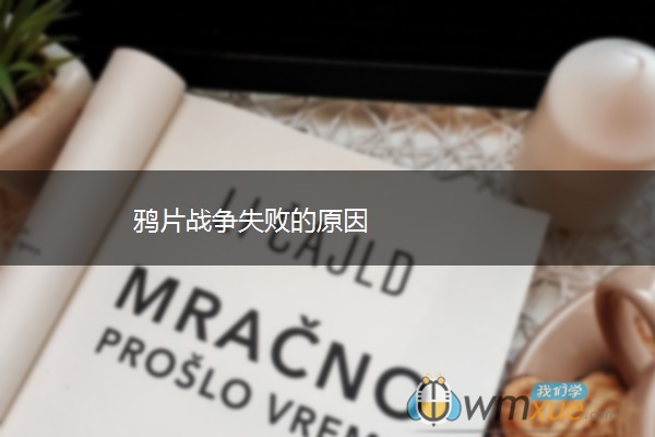 战争失败的原因