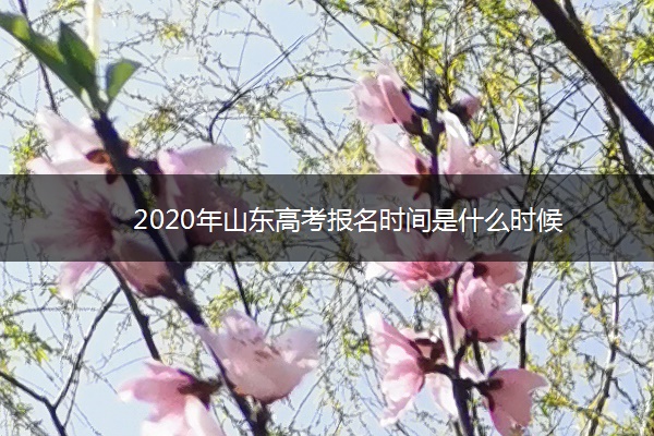 2020年山东高考报名时间是什么时候