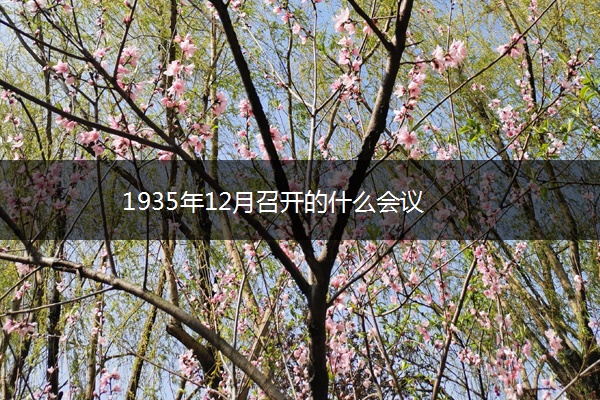 1935年12月召开的什么会议