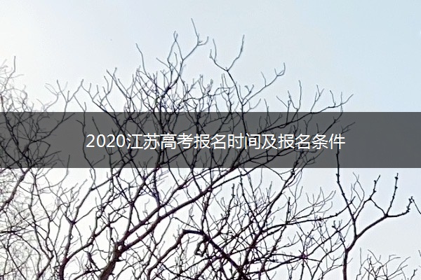 2020江苏高考报名时间及报名条件