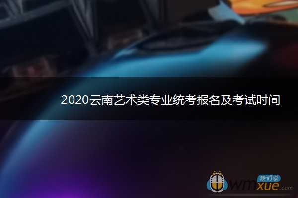 2020云南艺术类专业统考报名及考试时间