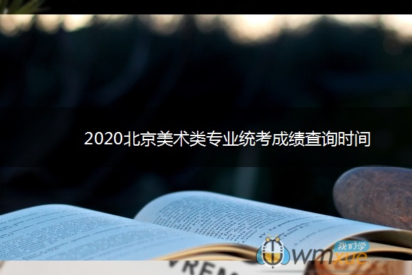 2020北京美术类专业统考成绩查询时间 2020北京美术类专业统考成绩查询时间