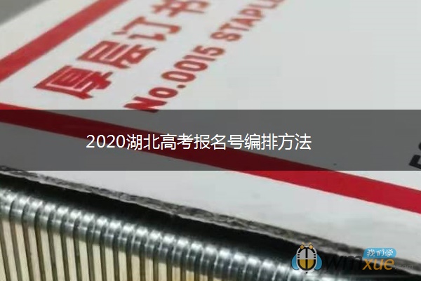 2020湖北高考报名号编排方法