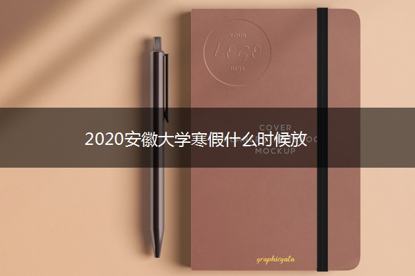 2020安徽大学寒假什么时候放