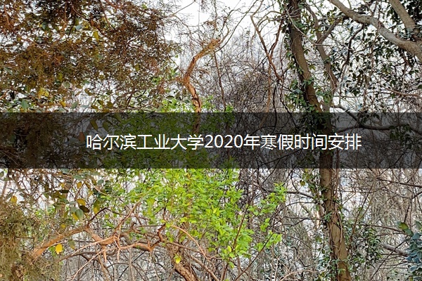 哈尔滨工业大学2020年寒假时间安排