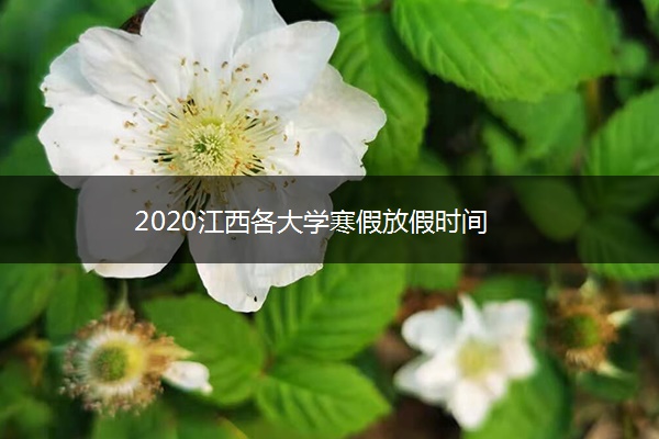 2020江西各大学寒假放假时间