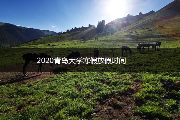 2020青岛大学寒假放假时间
