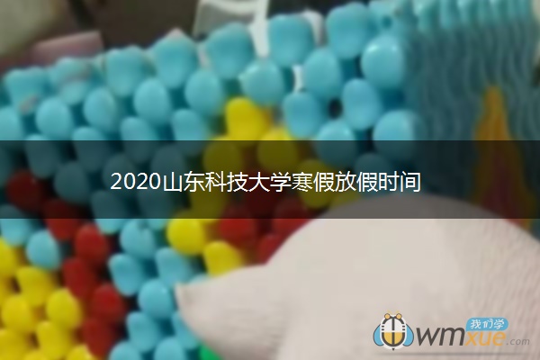 2020山东科技大学寒假放假时间