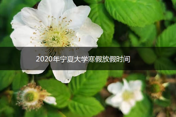 2020年宁夏大学寒假放假时间