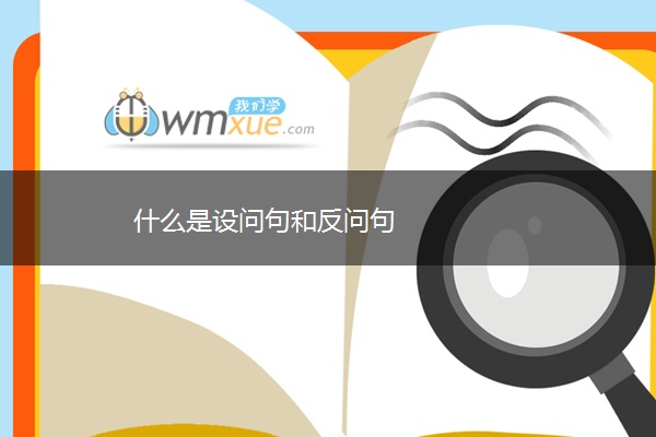 什么是设问句和反问句