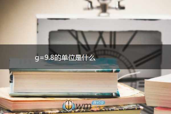 g=9.8的单位是什么