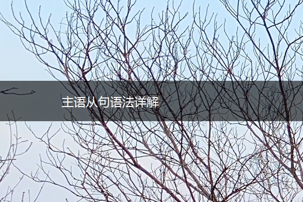 主语从句语法详解