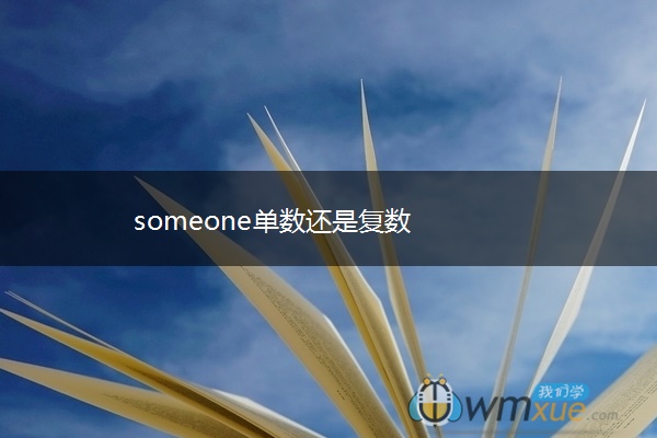 someone单数还是复数