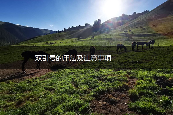 双引号的用法及注意事项