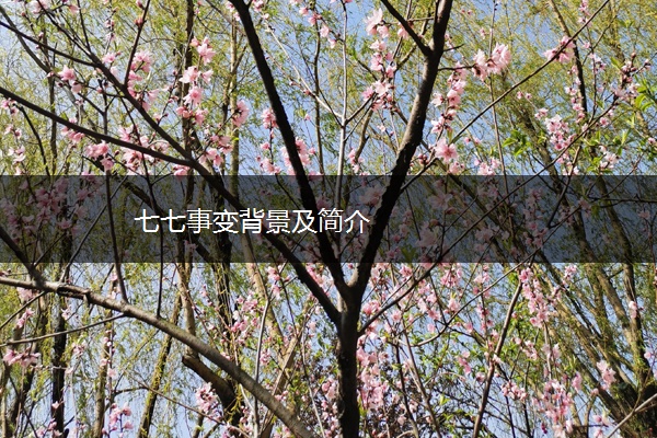 七七事变背景及简介