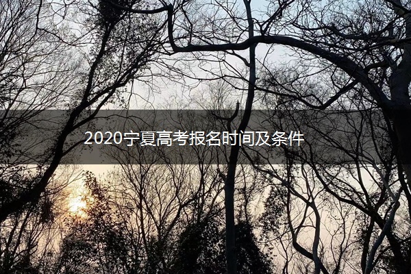 2020宁夏高考报名时间及条件