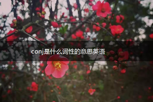 conj是什么词性的意思英语