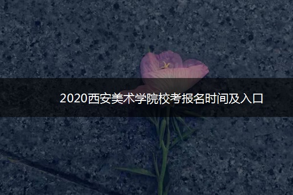 2020西安美术学院校考报名时间及入口