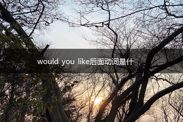 would you like后面动词是什么形式