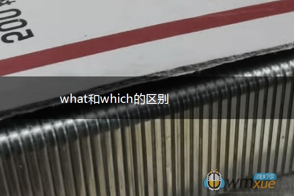 what和which的区别