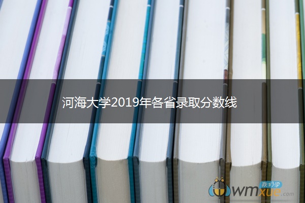 河海大学2019年各省录取分数线