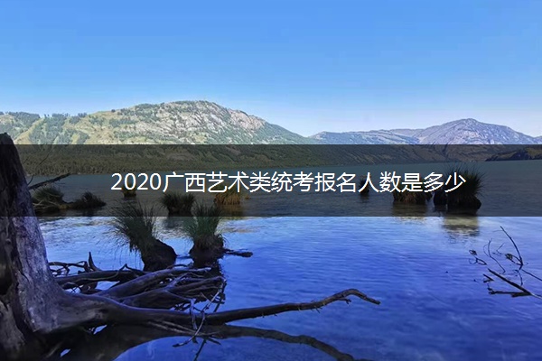 2020广西艺术类统考报名人数是多少