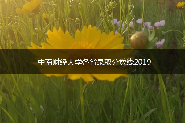 中南财经大学各省录取分数线2019