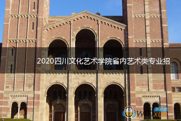 2020四川文化艺术学院省内艺术类专业招生简章