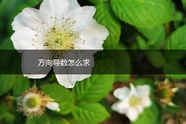 方向导数怎么求