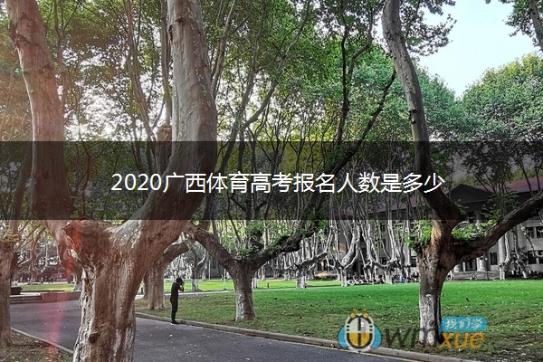 2020广西体育高考报名人数是多少