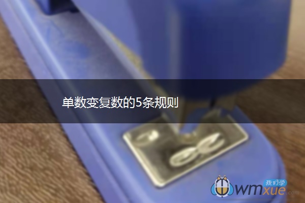单数变复数的5条规则