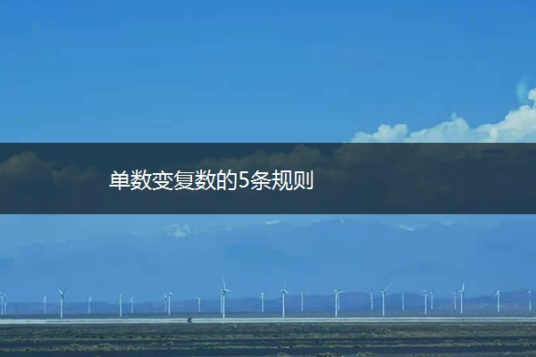 单数变复数的5条规则