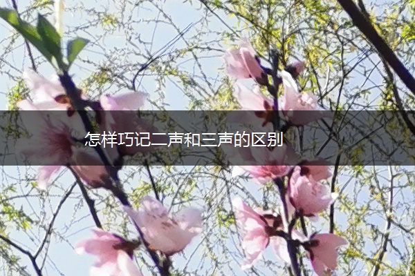 怎样巧记二声和三声的区别