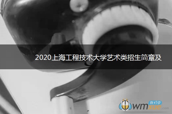 2020上海工程技术大学艺术类招生简章及专业计划