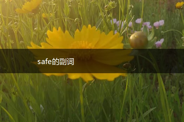 safe的副词