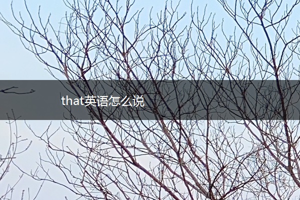 that英语怎么说