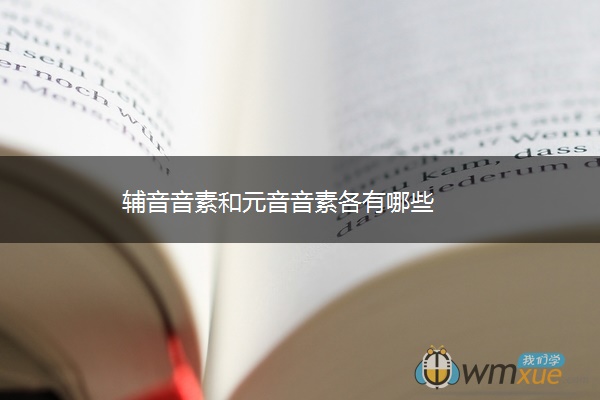 辅音音素和元音音素各有哪些