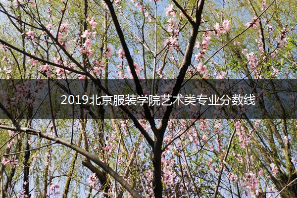 2019​北京服装学院艺术类专业分数线