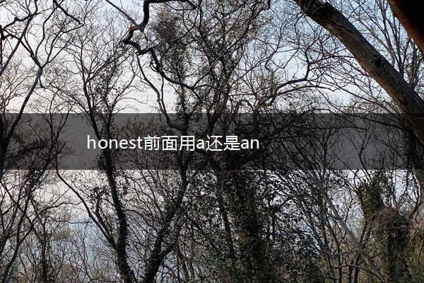 honest前面用a还是an