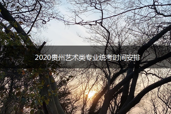 2020贵州艺术类专业统考时间安排