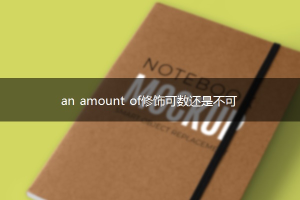 an amount of修饰可数还是不可数