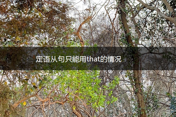 定语从句只能用that的情况