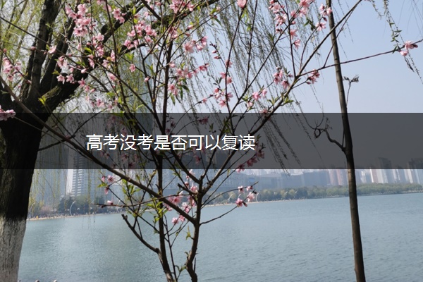 高考没考是否可以复读