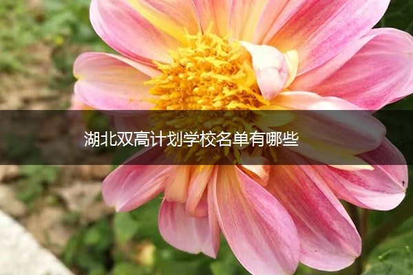 湖北双高计划学校名单有哪些